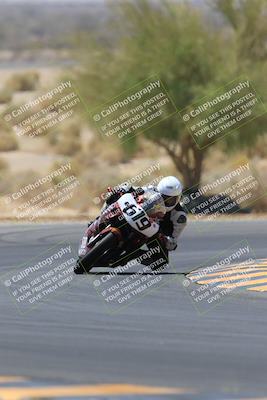 media/May-14-2023-SoCal Trackdays (Sun) [[024eb53b40]]/Turn 5 Tree of Life (1125am)/